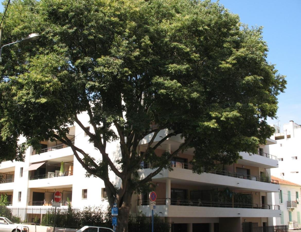 Spacious Luxury Apt, 12 Min Walk To Croisette Beach And Conf Centre Cannes Exteriör bild